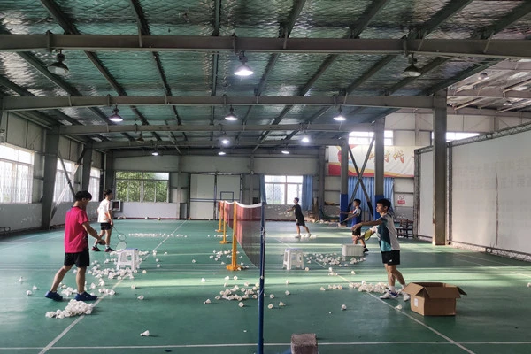 为什么篮球教练的经验很重要_2